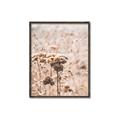 Picture of Macro Dried Florals _GroupedProduct_Rectangle_Portrait_Photography _GroupedProduct_Rectangle_Portrait_Canvas_Framed_