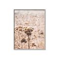 Picture of Macro Dried Florals _GroupedProduct_Rectangle_Portrait_Photography _GroupedProduct_Rectangle_Portrait_Canvas_Framed_