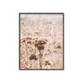 Picture of Macro Dried Florals _GroupedProduct_Rectangle_Portrait_Photography _GroupedProduct_Rectangle_Portrait_Canvas_Framed_