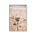 Picture of Macro Dried Florals _GroupedProduct_Rectangle_Portrait_Photography _GroupedProduct_Rectangle_Portrait_Canvas_Framed_