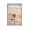 Picture of Macro Dried Florals _GroupedProduct_Rectangle_Portrait_Photography _GroupedProduct_Rectangle_Portrait_Canvas_Framed_