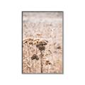 Picture of Macro Dried Florals _GroupedProduct_Rectangle_Portrait_Photography _GroupedProduct_Rectangle_Portrait_Canvas_Framed_
