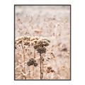 Picture of Macro Dried Florals _GroupedProduct_Rectangle_Portrait_Photography _GroupedProduct_Rectangle_Portrait_Canvas_Framed_