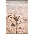 Picture of Macro Dried Florals _GroupedProduct_Rectangle_Portrait_Photography _GroupedProduct_Rectangle_Portrait_Canvas_Framed_