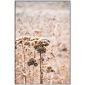 Picture of Macro Dried Florals _GroupedProduct_Rectangle_Portrait_Photography _GroupedProduct_Rectangle_Portrait_Canvas_Framed_