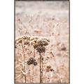 Picture of Macro Dried Florals _GroupedProduct_Rectangle_Portrait_Photography _GroupedProduct_Rectangle_Portrait_Canvas_Framed_