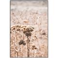 Picture of Macro Dried Florals _GroupedProduct_Rectangle_Portrait_Photography _GroupedProduct_Rectangle_Portrait_Canvas_Framed_