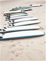 Picture of Line up the Boards _GroupedProduct_Rectangle_Portrait_Photography _GroupedProduct_Rectangle_Portrait_Unframed_Print_Only_
