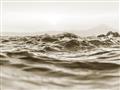 Picture of Gentle Waves _GroupedProduct_Rectangle_Landscape_Photography _GroupedProduct_Rectangle_Landscape_Unframed_Print_Only_