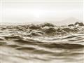 Picture of Gentle Waves _GroupedProduct_Rectangle_Landscape_Photography _GroupedProduct_Rectangle_Landscape_Unframed_Print_Only_