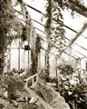 Picture of Greenhouse Serenity  _GroupedProduct_Rectangle_Portrait_Photography _GroupedProduct_Rectangle_Portrait_Unframed_Print_Only_