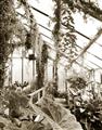Picture of Greenhouse Serenity  _GroupedProduct_Rectangle_Portrait_Photography _GroupedProduct_Rectangle_Portrait_Unframed_Print_Only_