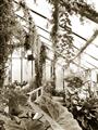 Picture of Greenhouse Serenity  _GroupedProduct_Rectangle_Portrait_Photography _GroupedProduct_Rectangle_Portrait_Unframed_Print_Only_