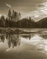 Picture of Cottage Lake _GroupedProduct_Rectangle_Portrait_Photography _GroupedProduct_Rectangle_Portrait_Unframed_Print_Only_