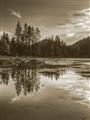 Picture of Cottage Lake _GroupedProduct_Rectangle_Portrait_Photography _GroupedProduct_Rectangle_Portrait_Unframed_Print_Only_