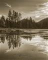 Picture of Cottage Lake _GroupedProduct_Rectangle_Portrait_Photography _GroupedProduct_Rectangle_Portrait_Unframed_Print_Only_