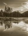Picture of Cottage Lake _GroupedProduct_Rectangle_Portrait_Photography _GroupedProduct_Rectangle_Portrait_Unframed_Print_Only_