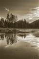 Picture of Cottage Lake _GroupedProduct_Rectangle_Portrait_Photography _GroupedProduct_Rectangle_Portrait_Unframed_Print_Only_
