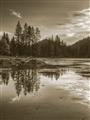 Picture of Cottage Lake _GroupedProduct_Rectangle_Portrait_Photography _GroupedProduct_Rectangle_Portrait_Unframed_Print_Only_