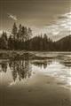 Picture of Cottage Lake _GroupedProduct_Rectangle_Portrait_Photography _GroupedProduct_Rectangle_Portrait_Unframed_Print_Only_
