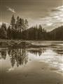 Picture of Cottage Lake _GroupedProduct_Rectangle_Portrait_Photography _GroupedProduct_Rectangle_Portrait_Unframed_Print_Only_