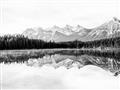 Picture of Reflective Waters _GroupedProduct_Rectangle_Landscape_Photography _GroupedProduct_Rectangle_Landscape_Unframed_Print_Only_