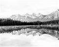 Picture of Reflective Waters _GroupedProduct_Rectangle_Landscape_Photography _GroupedProduct_Rectangle_Landscape_Unframed_Print_Only_