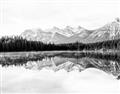 Picture of Reflective Waters _GroupedProduct_Rectangle_Landscape_Photography _GroupedProduct_Rectangle_Landscape_Unframed_Print_Only_