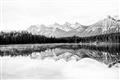 Picture of Reflective Waters _GroupedProduct_Rectangle_Landscape_Photography _GroupedProduct_Rectangle_Landscape_Unframed_Print_Only_