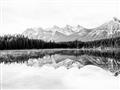 Picture of Reflective Waters _GroupedProduct_Rectangle_Landscape_Photography _GroupedProduct_Rectangle_Landscape_Unframed_Print_Only_