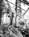 Picture of Greenhouse Serenity  _GroupedProduct_Rectangle_Portrait_Photography _GroupedProduct_Rectangle_Portrait_Unframed_Print_Only_