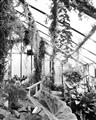 Picture of Greenhouse Serenity  _GroupedProduct_Rectangle_Portrait_Photography _GroupedProduct_Rectangle_Portrait_Unframed_Print_Only_