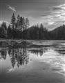 Picture of Cottage Lake _GroupedProduct_Rectangle_Portrait_Photography _GroupedProduct_Rectangle_Portrait_Unframed_Print_Only_