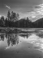Picture of Cottage Lake _GroupedProduct_Rectangle_Portrait_Photography _GroupedProduct_Rectangle_Portrait_Unframed_Print_Only_
