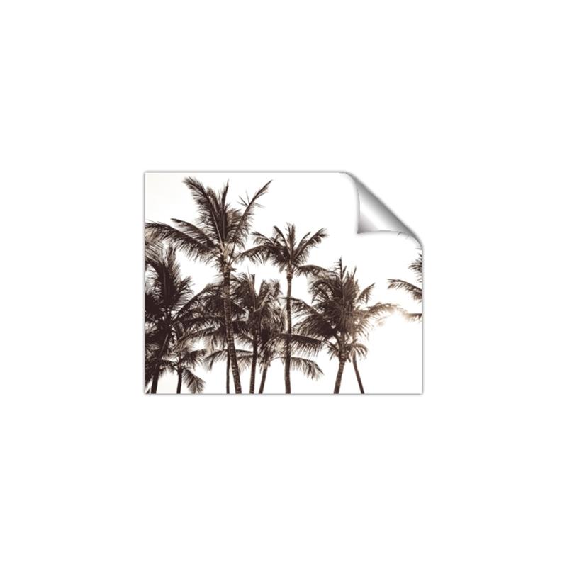 Picture of Cali Palms Sepia Collection _GroupedProduct_Rectangle_Landscape_Photography _GroupedProduct_Rectangle_Landscape_Unframed_Print_Only_