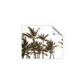 Picture of Cali Palms Sepia Collection _GroupedProduct_Rectangle_Landscape_Photography _GroupedProduct_Rectangle_Landscape_Unframed_Print_Only_