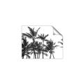 Picture of Cali Palms Sepia Collection _GroupedProduct_Rectangle_Landscape_Photography _GroupedProduct_Rectangle_Landscape_Unframed_Print_Only_