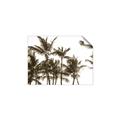 Picture of Cali Palms Sepia Collection _GroupedProduct_Rectangle_Landscape_Photography _GroupedProduct_Rectangle_Landscape_Unframed_Print_Only_