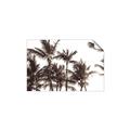 Picture of Cali Palms Sepia Collection _GroupedProduct_Rectangle_Landscape_Photography _GroupedProduct_Rectangle_Landscape_Unframed_Print_Only_