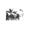 Picture of Cali Palms Sepia Collection _GroupedProduct_Rectangle_Landscape_Photography _GroupedProduct_Rectangle_Landscape_Unframed_Print_Only_