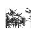 Picture of Cali Palms Sepia Collection _GroupedProduct_Rectangle_Landscape_Photography _GroupedProduct_Rectangle_Landscape_Unframed_Print_Only_
