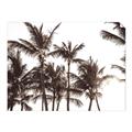 Picture of Cali Palms Sepia Collection _GroupedProduct_Rectangle_Landscape_Photography _GroupedProduct_Rectangle_Landscape_Unframed_Print_Only_