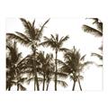 Picture of Cali Palms Sepia Collection _GroupedProduct_Rectangle_Landscape_Photography _GroupedProduct_Rectangle_Landscape_Unframed_Print_Only_
