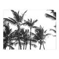Picture of Cali Palms Sepia Collection _GroupedProduct_Rectangle_Landscape_Photography _GroupedProduct_Rectangle_Landscape_Unframed_Print_Only_