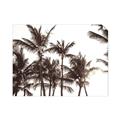 Picture of Cali Palms Sepia Collection _GroupedProduct_Rectangle_Landscape_Photography _GroupedProduct_Rectangle_Landscape_Unframed_Print_Only_