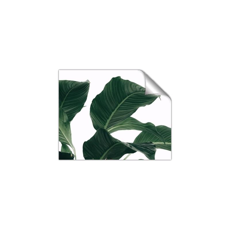 Picture of Plant Bliss _GroupedProduct_Rectangle_Landscape_Photography _GroupedProduct_Rectangle_Landscape_Unframed_Print_Only_