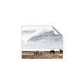 Picture of Wild Horses _GroupedProduct_Rectangle_Landscape_Photography _GroupedProduct_Rectangle_Landscape_Unframed_Print_Only_