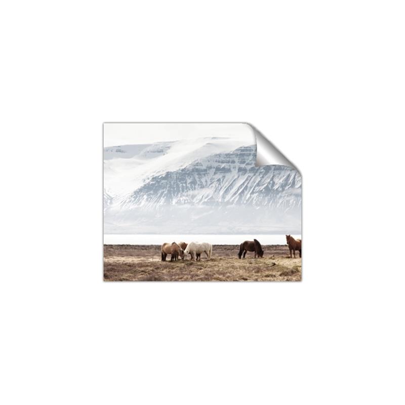 Picture of Wild Horses _GroupedProduct_Rectangle_Landscape_Photography _GroupedProduct_Rectangle_Landscape_Unframed_Print_Only_