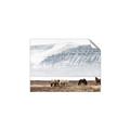 Picture of Wild Horses _GroupedProduct_Rectangle_Landscape_Photography _GroupedProduct_Rectangle_Landscape_Unframed_Print_Only_
