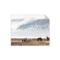 Picture of Wild Horses _GroupedProduct_Rectangle_Landscape_Photography _GroupedProduct_Rectangle_Landscape_Unframed_Print_Only_